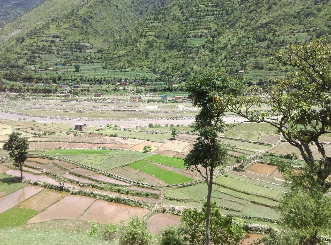 Environment and Climate Change