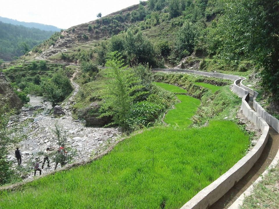 Agriculture & Rural Development