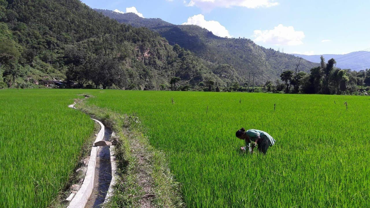 Technical Assistance to Implement Small Irrigation Program-Phase II